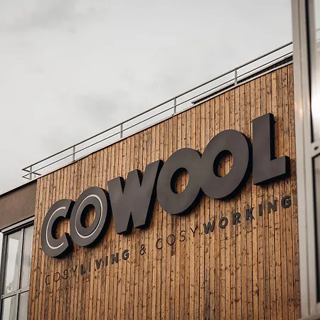 Cowool Cergy-3